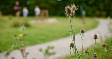 The paths and space at Great Notley