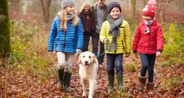 Shutterstock 199351385