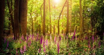 Shutterstock 2070536411