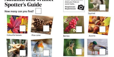 Autumn Spotters Guide 2025 1