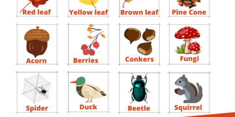 Autumn scavenger hunt 2