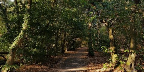 Belhus path