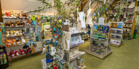 A gift shop displaying a range of products