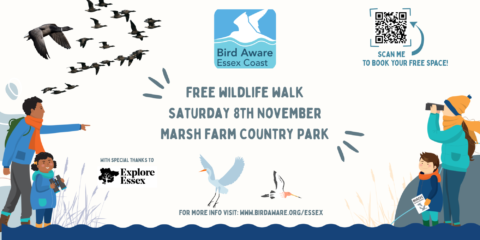 Marsh Farm Wildlife Walk Poster