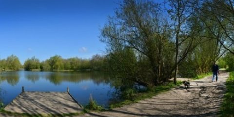 Belhus woods jetty lake path dog walker1 440x227