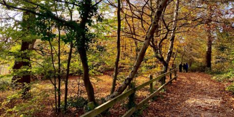 Danbury autumn 2021 SF 1