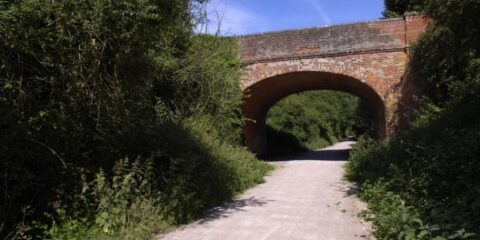 The Flitch Way trail running under a bridge