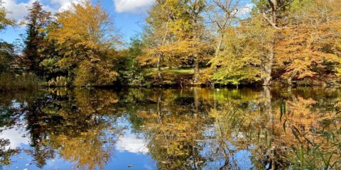 Image00009