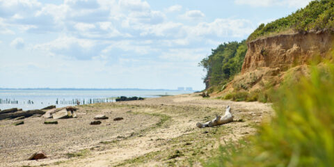 Lo res EE Cudmore Aug25 636