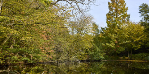 Med res ECP Danbury Sept22 1010