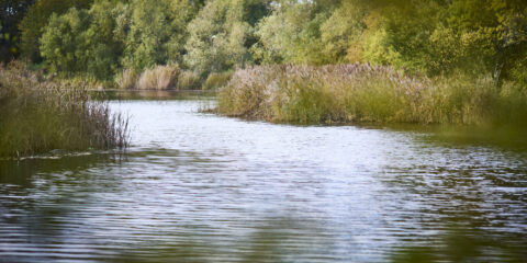 Med res ECP Notley 22 1355