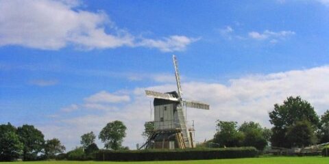 Mountnessing Mill from a distance