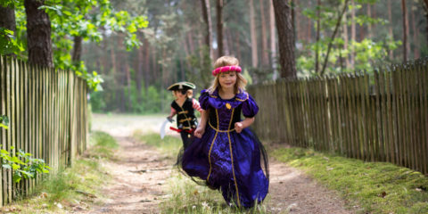 Pirate and Princess