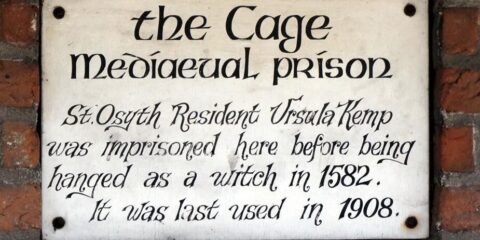 The cage