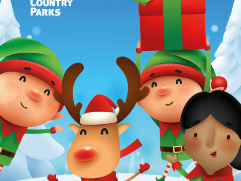 Elf Trail 25 Social Media Square