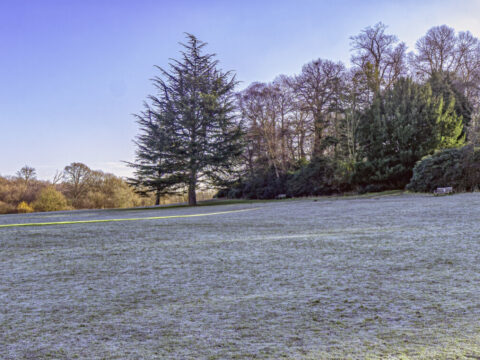 Frosty morning Jan weald credit Andrew Adams