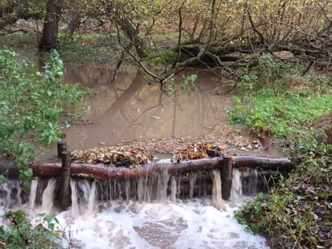 Leaky dam in action at Weald