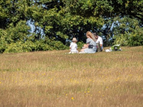 Picknick in the Meadow SW small