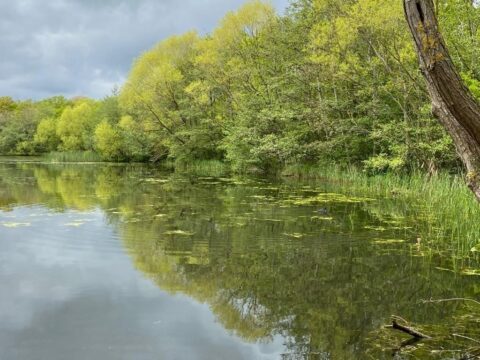 Belhus lake 2 May21