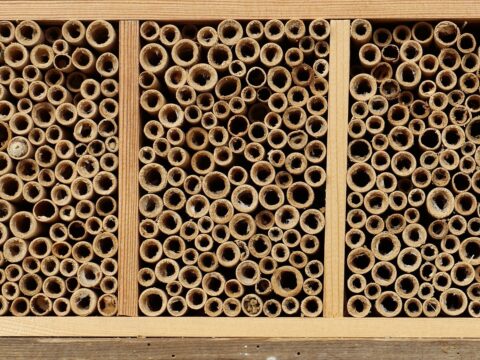 Insect hotel 5125527 1920