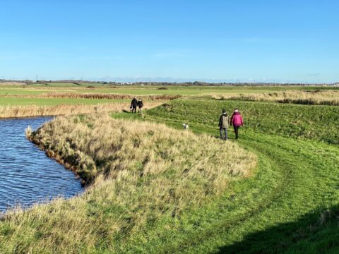 Marsh farm walkers