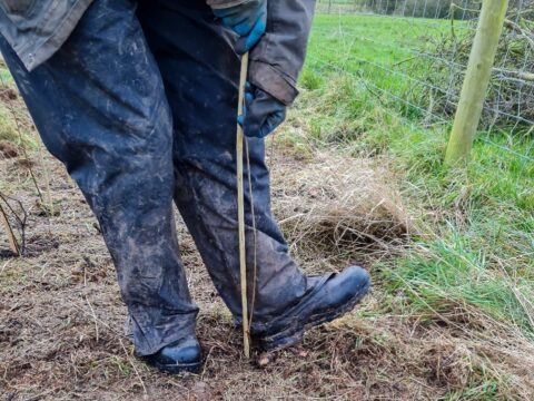 Tree planting 2 marsh farm jan 21