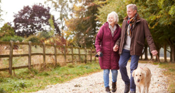 Shutterstock 1225290172