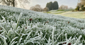 Shutterstock 1889717326