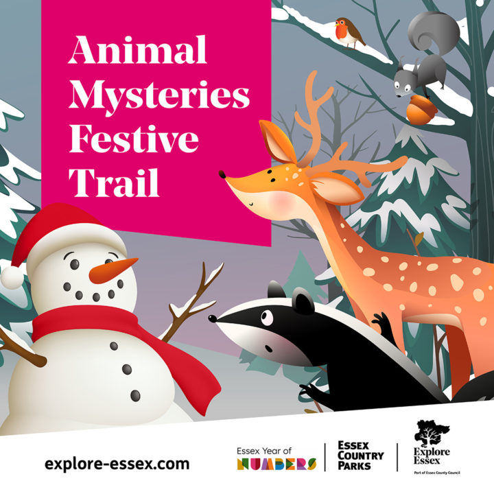 Infographic of Animal Mysteries Festive Trail