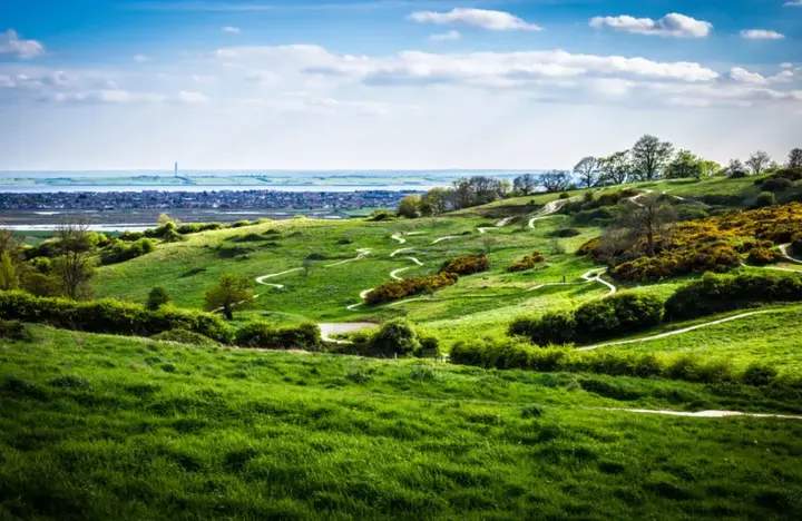 Image of Hadleigh Country Park