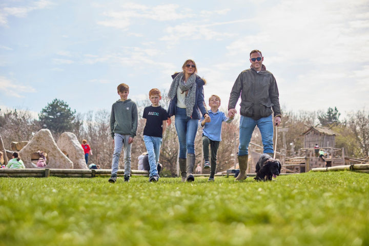 Family with a dog on grass walking towards the camera at Cudmore Grove