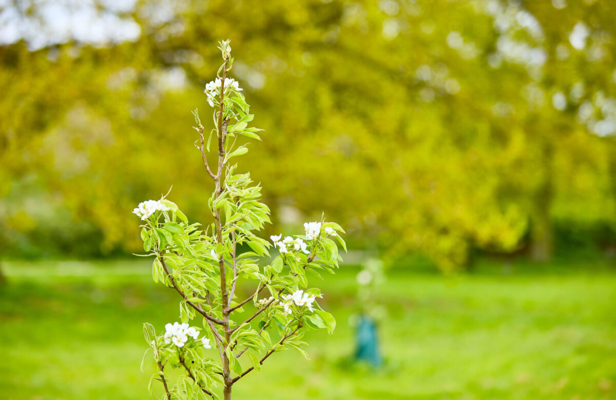 Lo res EE Hadleigh Apr24 209