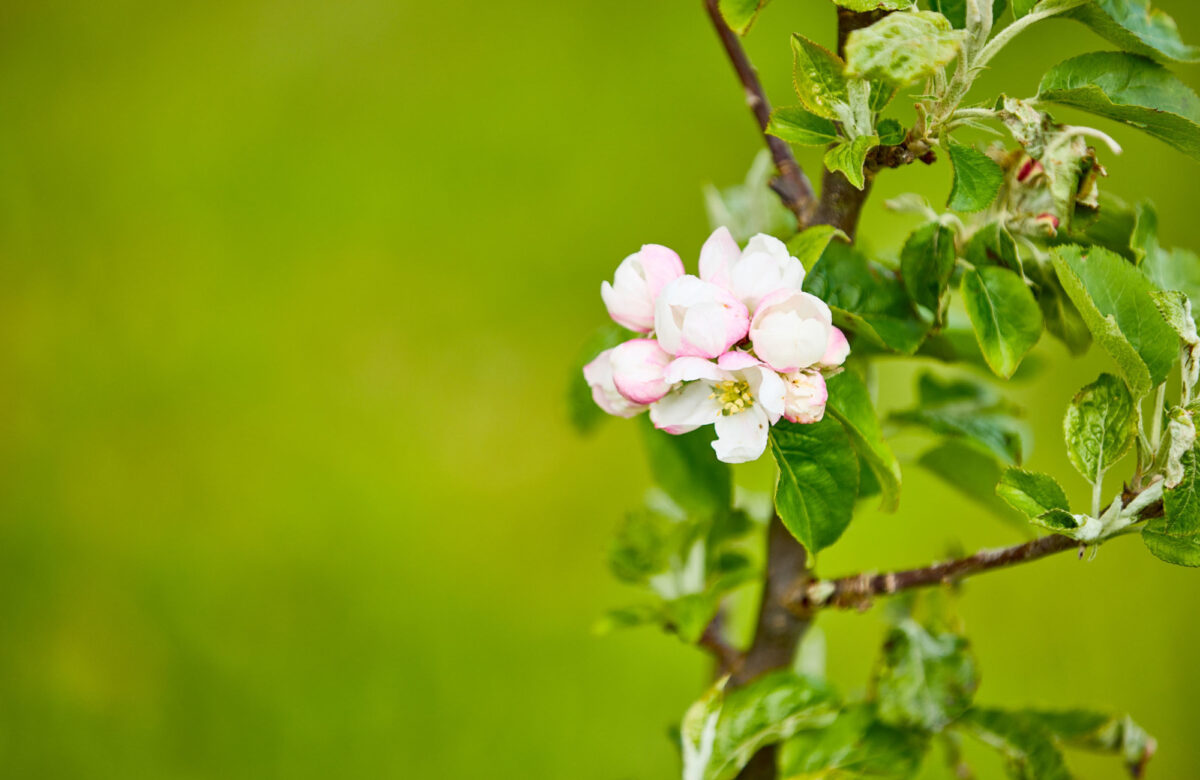 Lo res EE Hadleigh Apr24 217