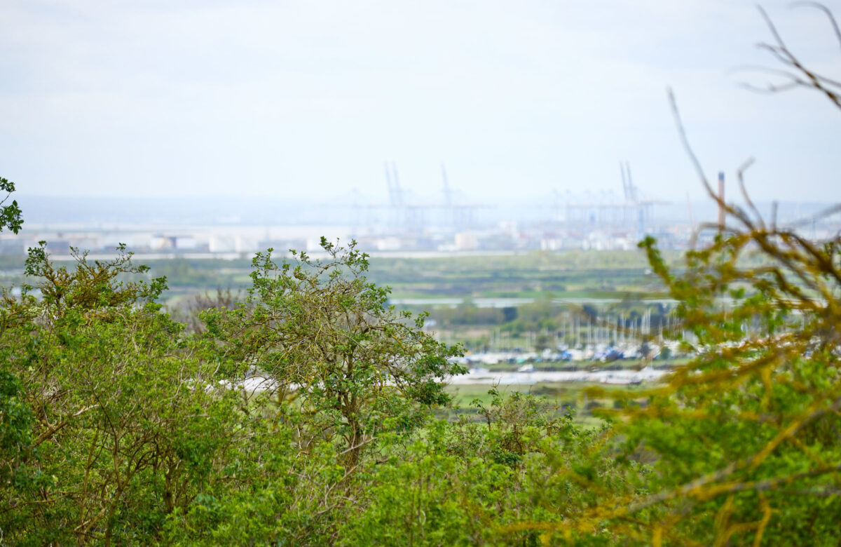 Lo res EE Hadleigh Apr24 219