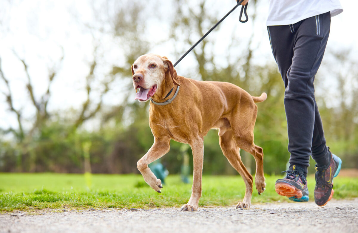 Lo res EE Hadleigh Apr24 240