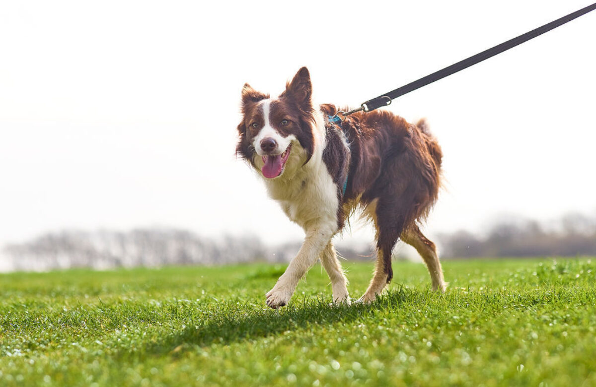 Lo res Explore Essex Cudmore Apr23 020