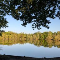 Belhus Woods Country Park
