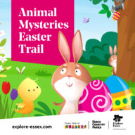 Animal Mysteries Easter Trail: Thorndon