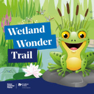 Free Wetland Trail for all the family at Belhus Woods