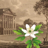 Heritage Trail - Thorndon South