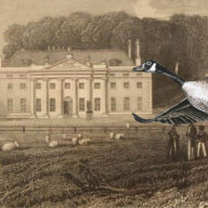 Weald Country Park Discovery Trail