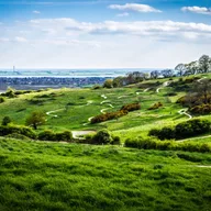 Something exciting is happening: Landscape restoration at Hadleigh Country Park