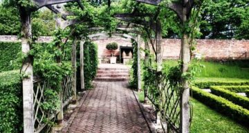 Arbour in the Walled Garden