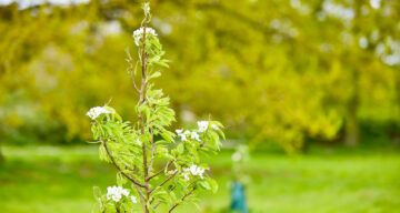 Lo res EE Hadleigh Apr24 209