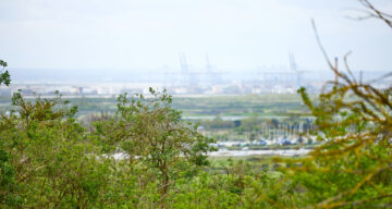 Lo res EE Hadleigh Apr24 219