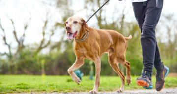 Lo res EE Hadleigh Apr24 240