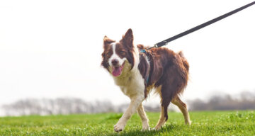 Lo res Explore Essex Cudmore Apr23 020