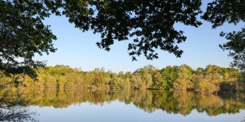 Belhus Lake Rob Goodrick