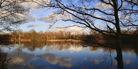 Lake in Winter Sophie F