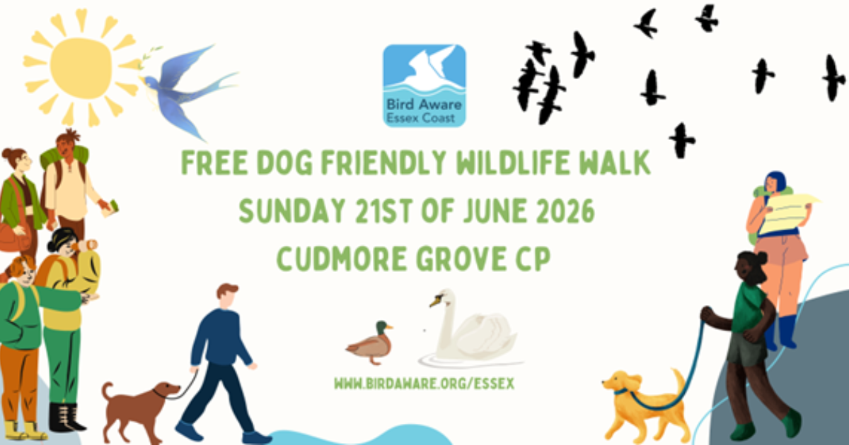 Guided Wildlife Walk at Cudmore Grove Country Park